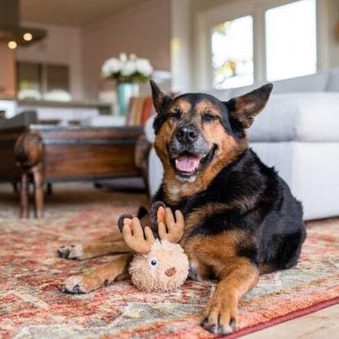 P.L.A.Y. PET LIFESTYLE AND YOU P.L.A.Y. Cute Plush Dog Toys - Mythical Creature, Fairytale Themed Durable Squeaker Chew Toy, Great for Puppies Dogs (Darby The Dragon) in Saudi Arabia