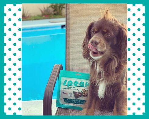 Treats Dog Baby Bullys, Natural Gluten and Grain Free Low Calorie 5 Inch Beef Chews for Small Breeds, Perfect Alternative for Rawhide, 24 Count in Saudi Arabia