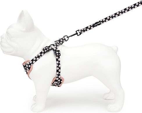Jack & Bully Dog Leash with Padded Neoprene Handle, 360° Swivel Clasp, Heavy Duty Nylon, Durable, Checkered in Saudi Arabia