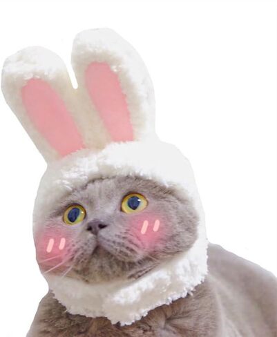Dog Cute Costume Bunny Rabbit Hat Headband with Ears for Cats & Dogs Party Costume Easter Halloween Novelty Accessory Headwear (Large) in Saudi Arabia