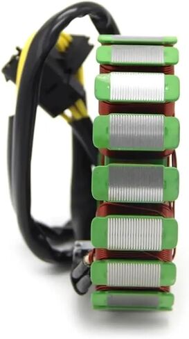 Motorcycle Generator Ignition Stator Coil For F650GS F800R F800S F800GS F800ST F800GT F700GS Part 12318524422 12317690427 in Saudi Arabia