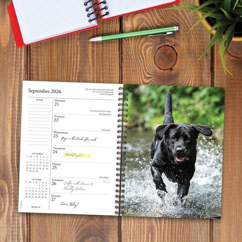 Willow Creek Press, Labs What Labs Teach Us 2026 Engagement Planner, 7'' X 8.66'', Weekly Calendar with Spiral Binding in Saudi Arabia