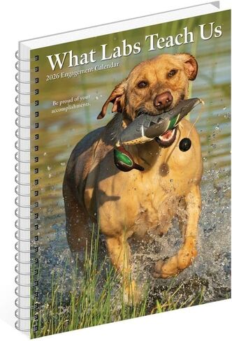 Willow Creek Press, Labs What Labs Teach Us 2026 Engagement Planner, 7'' X 8.66'', Weekly Calendar with Spiral Binding in Saudi Arabia