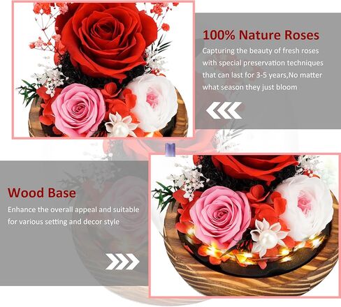 KDM Preserved Roses Gifts for Women Mom Grandma Friend,Long-Lasting Real Flowers in Glass Dome with LED Strip,for Mothers Day Valentines Christmas Thanksgiving （Champagne Austin Yellow Rose） in Kuwait
