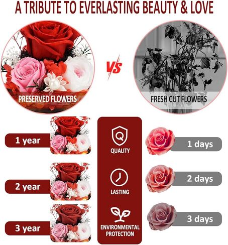 KDM Preserved Roses Gifts for Women Mom Grandma Friend,Long-Lasting Real Flowers in Glass Dome with LED Strip,for Mothers Day Valentines Christmas Thanksgiving （Champagne Austin Yellow Rose） in Kuwait