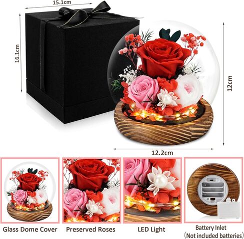 KDM Preserved Roses Gifts for Women Mom Grandma Friend,Long-Lasting Real Flowers in Glass Dome with LED Strip,for Mothers Day Valentines Christmas Thanksgiving （Champagne Austin Yellow Rose） in Kuwait