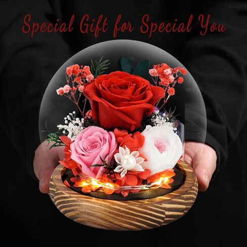 KDM Preserved Roses Gifts for Women Mom Grandma Friend,Long-Lasting Real Flowers in Glass Dome with LED Strip,for Mothers Day Valentines Christmas Thanksgiving （Champagne Austin Yellow Rose） in Kuwait