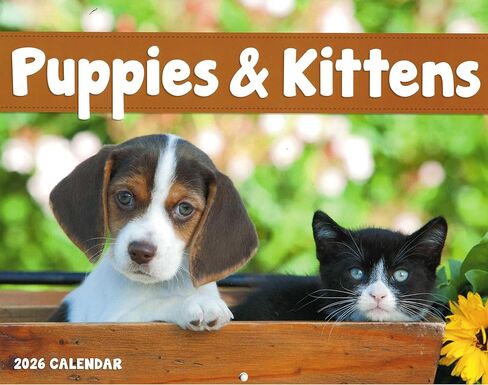 Puppies and Kittens Calendar 2026 | Cute Dog & Cat Wall Calendar, Puppy and Kitty Monthly Planner, Animal Wall Calendars, Funny Pet Calendar 2026 With Holidays Lunar Phases in Saudi Arabia