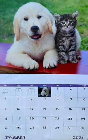 Puppies and Kittens Calendar 2026 | Cute Dog & Cat Wall Calendar, Puppy and Kitty Monthly Planner, Animal Wall Calendars, Funny Pet Calendar 2026 With Holidays Lunar Phases in Saudi Arabia