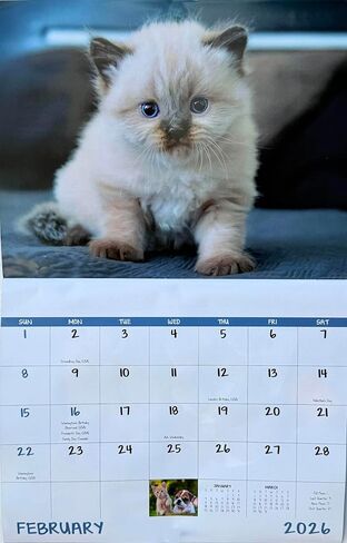 Puppies and Kittens Calendar 2026 | Cute Dog & Cat Wall Calendar, Puppy and Kitty Monthly Planner, Animal Wall Calendars, Funny Pet Calendar 2026 With Holidays Lunar Phases in Saudi Arabia