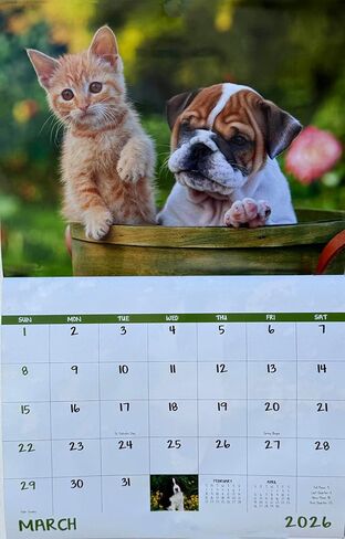 Puppies and Kittens Calendar 2026 | Cute Dog & Cat Wall Calendar, Puppy and Kitty Monthly Planner, Animal Wall Calendars, Funny Pet Calendar 2026 With Holidays Lunar Phases in Saudi Arabia