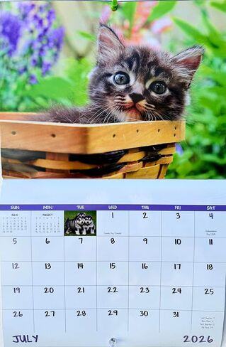 Puppies and Kittens Calendar 2026 | Cute Dog & Cat Wall Calendar, Puppy and Kitty Monthly Planner, Animal Wall Calendars, Funny Pet Calendar 2026 With Holidays Lunar Phases in Saudi Arabia