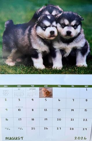 Puppies and Kittens Calendar 2026 | Cute Dog & Cat Wall Calendar, Puppy and Kitty Monthly Planner, Animal Wall Calendars, Funny Pet Calendar 2026 With Holidays Lunar Phases in Saudi Arabia