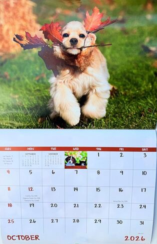 Puppies and Kittens Calendar 2026 | Cute Dog & Cat Wall Calendar, Puppy and Kitty Monthly Planner, Animal Wall Calendars, Funny Pet Calendar 2026 With Holidays Lunar Phases in Saudi Arabia