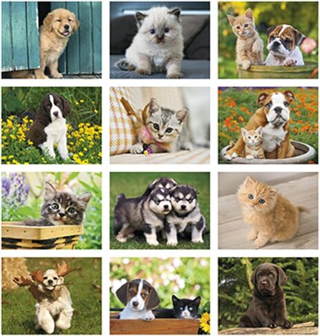 Puppies and Kittens Calendar 2026 | Cute Dog & Cat Wall Calendar, Puppy and Kitty Monthly Planner, Animal Wall Calendars, Funny Pet Calendar 2026 With Holidays Lunar Phases in Saudi Arabia