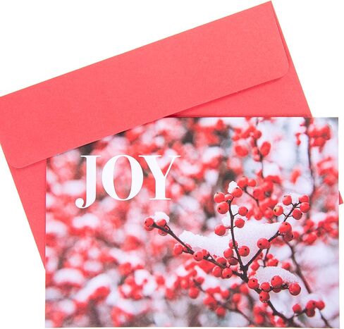 Graphique Santa Playing in Snow Holiday Cards - حزمة من 15 بطاقة مع مغلفات - تحيات عيد الميلاد - لهجات لامعة - مجموعة معلبة - 4.75 بوصة × 6.625 بوصة in Saudi Arabia