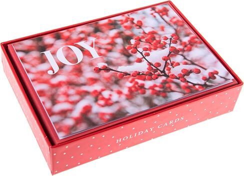 Graphique Santa Playing in Snow Holiday Cards - حزمة من 15 بطاقة مع مغلفات - تحيات عيد الميلاد - لهجات لامعة - مجموعة معلبة - 4.75 بوصة × 6.625 بوصة in Saudi Arabia