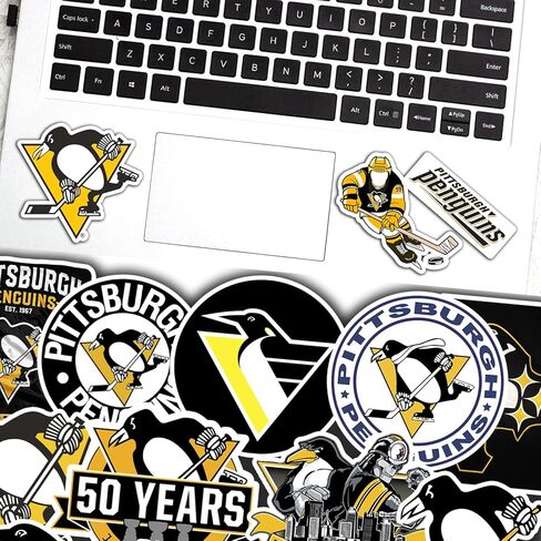 27 PCS Anaheim American Ducks Hockey Stickers for Water Bottle, Laptop, Bicycle, Computer, Motorcycle, Travel Case, Car Decal Decoration Sticker in Saudi Arabia
