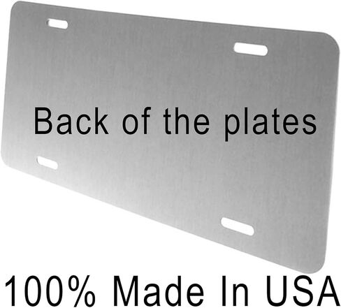 Charleston West Virginia Bridge Novelty Car License Plate in Saudi Arabia