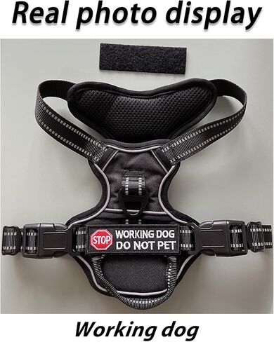 3 قطع من رقع خدمة إشارة التوقف للكلاب لحزام الكلاب، وخطاف وحلقة تثبيت شارة مطرزة، سترات تحذيرية مزينة بطوق داعم للملابس (الكلب العامل لا يسمح بالحيوانات الأليفة) in Kuwait