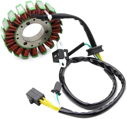 Accessories Motorcycle Magneto Stator Coil Fit For 800097534 8000A6549 650 in Saudi Arabia