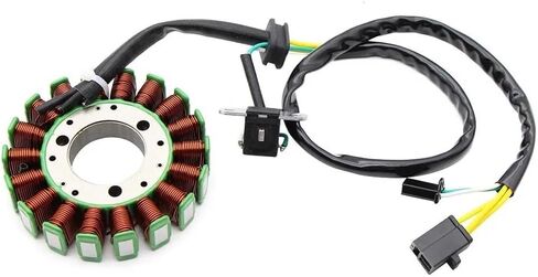 Accessories Motorcycle Magneto Stator Coil Fit For 800097534 8000A6549 650 in Saudi Arabia
