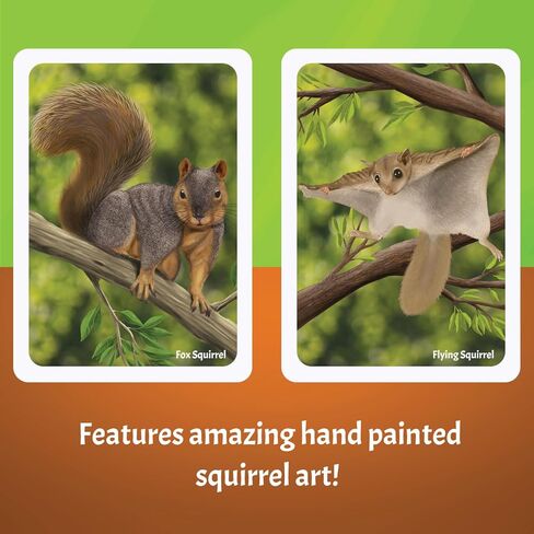 Squirrels The Card Game - Family Card Game, Fast and Fun, Easy-to Learn for Ages 10+, 2-8 Players in Saudi Arabia