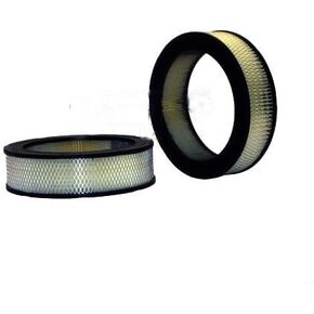 Air Filter for 1981-1993 Dodge D250 (PG-2565936) in Kuwait