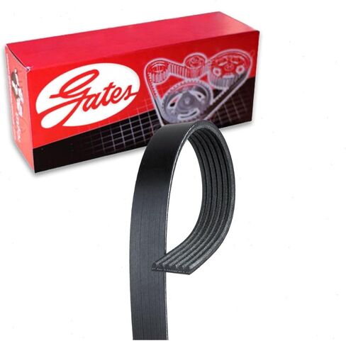 Gates AC Stretch Fit Micro-V Serpentine Belt compatible with Ford Mustang 5.0L 5.2L V8 2011-2019 in Saudi Arabia