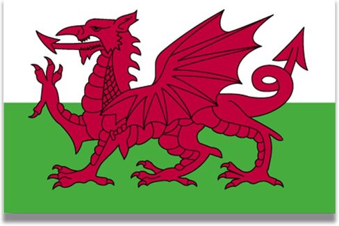 ملصق مغناطيسي للسيارة Magnet Me Up Wales Welsh Flag، مقاس 4x6 بوصة، مغناطيس سيارات شديد التحمل للسيارة والشاحنات وسيارات الدفع الرباعي in Saudi Arabia