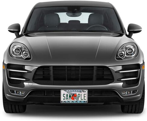 Fastasticdeals Metal Insert License Plate Frame Silhouette Dolphins Weatherproof Car Accessories Chrome 2 Holes Solid Insert in Saudi Arabia