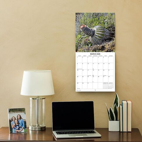 2026 Nature Exposed Dong Shots Calendar - Nature's Dongs Calendar - Gag gift, White Elephant Gift for Adults- Funny Nature 2026 Calendar - Funny Secret Santa- Nature's D*cks Pics in Saudi Arabia