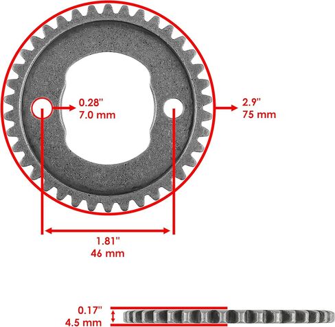 Caltric Camshaft with Adjustor and Chain Kit Compatible with Honda Fourtrax 300 TRX300FW 4x4 1991-2000 in Saudi Arabia