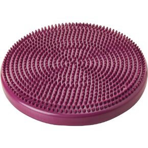 FitPAWS Balance Disc for Dogs 14 Inches Violet.