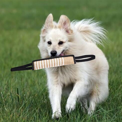 TAIKUU 久の物 قطعتان من لعبة شد الكلاب، لعبة شد الحبل للكلاب، لعبة سحب وسادة عض الجوت مع مقبضين ناعمين وقويين، عصا عض الكلاب لتدريب الجراء واللعب التفاعلي، لعبة سحب الجوت in Kuwait