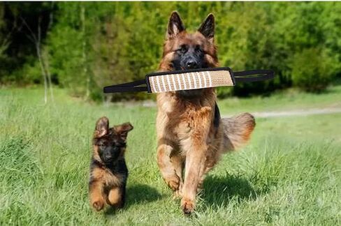 TAIKUU 久の物 قطعتان من لعبة شد الكلاب، لعبة شد الحبل للكلاب، لعبة سحب وسادة عض الجوت مع مقبضين ناعمين وقويين، عصا عض الكلاب لتدريب الجراء واللعب التفاعلي، لعبة سحب الجوت in Kuwait