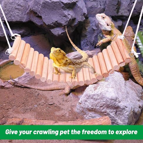 جسر تسلق الزواحف من UNIFAMILY، ألعاب التنين الملتحي للتسلق، أرجوحة الزواحف الخشبية، سلم استلقاء السحلية، ملحقات خزان الزواحف للسحلية الملتحية التنين الناسك السلطعون الطيور الببغاء الأفعى in Kuwait