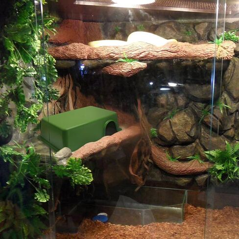 Reptile Hide, Ball Python Snake Hide Feel Secure and Safe Snake Cage Accessories Plastic Reptile Hide Box (X-Large Green) in Saudi Arabia