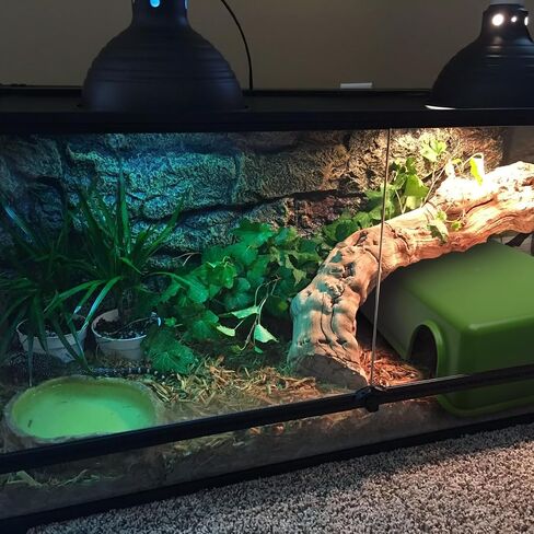 Reptile Hide, Ball Python Snake Hide Feel Secure and Safe Snake Cage Accessories Plastic Reptile Hide Box (X-Large Green) in Saudi Arabia