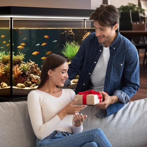 YOOSKIM Metal Lily Pipe Holder Bracket Size S Inlet&Outlet Clamp Water Hose Fix Clip for Aquarium Fish&Shrimp Tanks CO2 Diffuser System Gallon Aquarium Canister Filter Rimless Tank Accessories. in Saudi Arabia