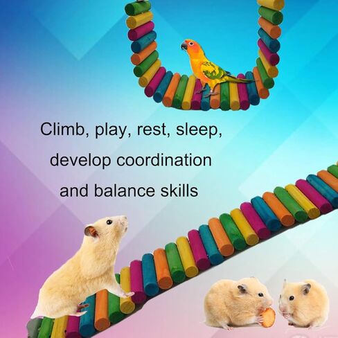 HAMILEDYI Hamster Rainbow Bridge,Flexible Bendy Climbing Ladder Hanging Wooden Chew Toy for Bird Parrot Guinea Pig Chinchilla Chipmunk Sugar Glider Gerbil Mice Squirrel Small Animal(Pack of 2) in Saudi Arabia