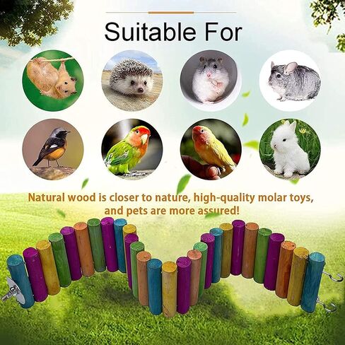 HAMILEDYI Hamster Rainbow Bridge,Flexible Bendy Climbing Ladder Hanging Wooden Chew Toy for Bird Parrot Guinea Pig Chinchilla Chipmunk Sugar Glider Gerbil Mice Squirrel Small Animal(Pack of 2) in Saudi Arabia