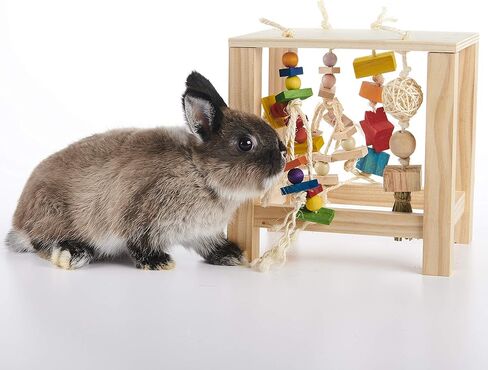 Oxbow Enriched Life Play Table in Kuwait