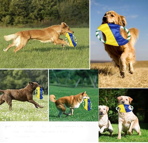 ZoyPet Dog Toys Flying Disc Rope Toy Chew Toys 2 Pack for Dogs Flying Discs Training Cotton Rope-Dog Toy Pack Set DT1-2P Footprint in Saudi Arabia