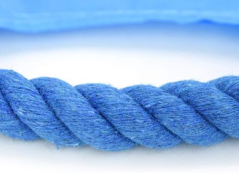 ZoyPet Dog Toys Flying Disc Rope Toy Chew Toys 2 Pack for Dogs Flying Discs Training Cotton Rope-Dog Toy Pack Set DT1-2P Footprint in Saudi Arabia