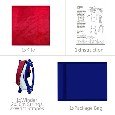 2.5m Dual Line Stunt Parafoil Kites Soft Stunt Kite for Beach Blue,red,Green,Yellow Color with Flying Tool in Saudi Arabia