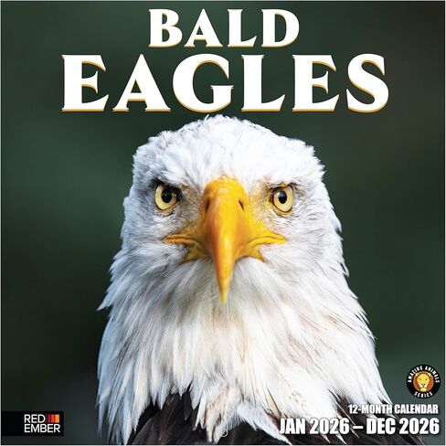 RED EMBER Bald Eagles 2026 Wall Calendar 12 Month | 12" x 24" Open | Thick & Sturdy Paper | Holiday Gift | Animal Bird Calendar 2026 in Saudi Arabia