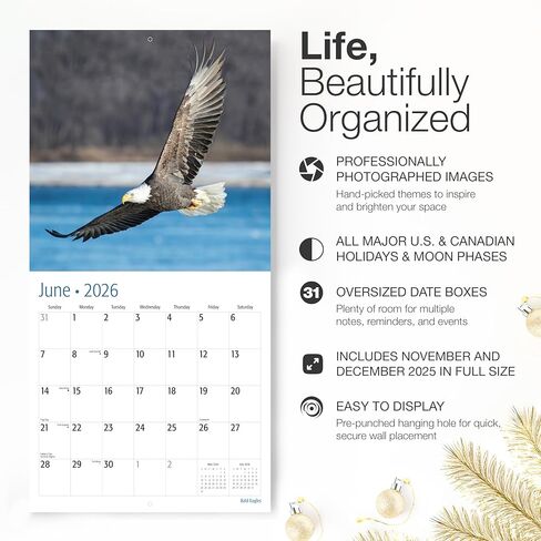 RED EMBER Bald Eagles 2026 Wall Calendar 12 Month | 12" x 24" Open | Thick & Sturdy Paper | Holiday Gift | Animal Bird Calendar 2026 in Saudi Arabia