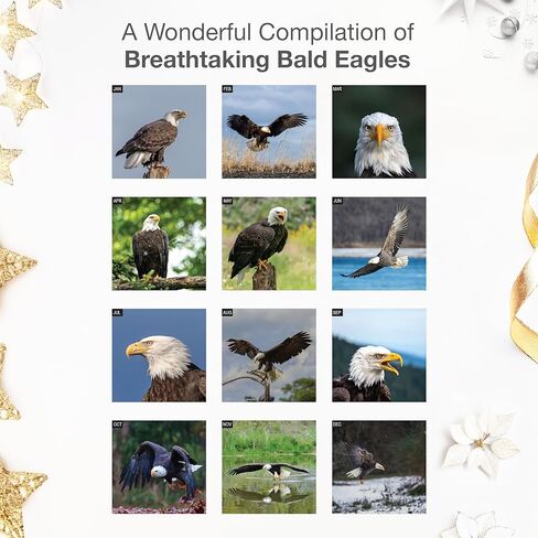 RED EMBER Bald Eagles 2026 Wall Calendar 12 Month | 12" x 24" Open | Thick & Sturdy Paper | Holiday Gift | Animal Bird Calendar 2026 in Saudi Arabia