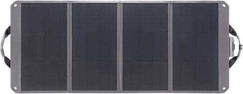 Zignes 100W Solar Panel in Saudi Arabia